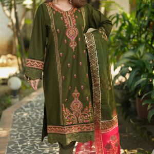 Olive color full stone work glossy dress